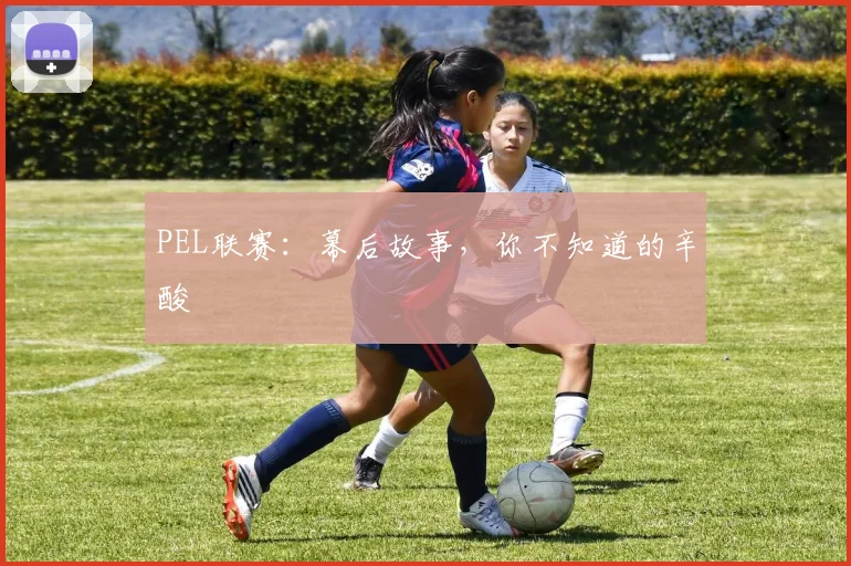 PEL联赛:幕后故事,你不知道的辛酸