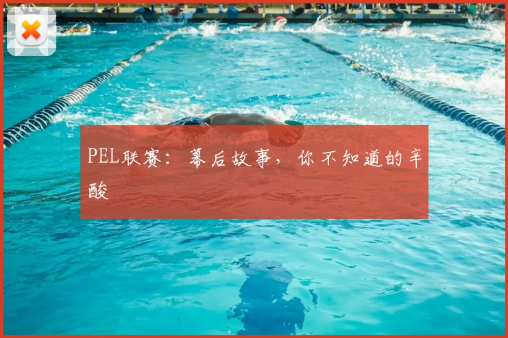 PEL联赛:幕后故事,你不知道的辛酸
